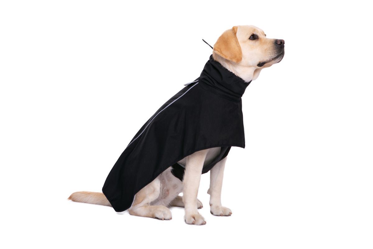 Waterproof Dog Poncho Reflective Dog Cape Dog Rainwear Pet Waterproof Clothing - Beige - Size 2XL-8-12kg
