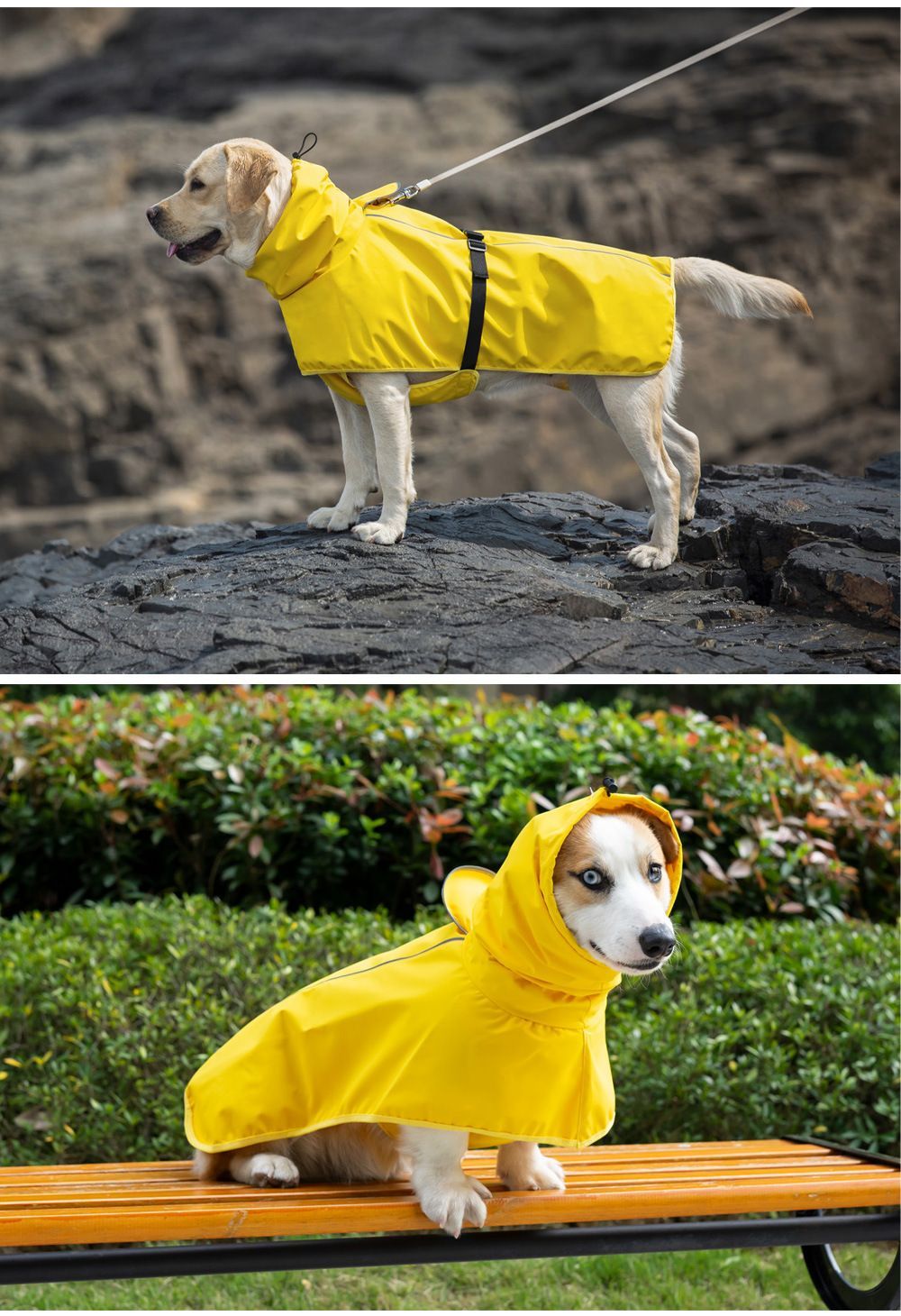Waterproof Dog Poncho Reflective Dog Cape Dog Rainwear Pet Waterproof Clothing - Black - Size 2XL-8-12kg