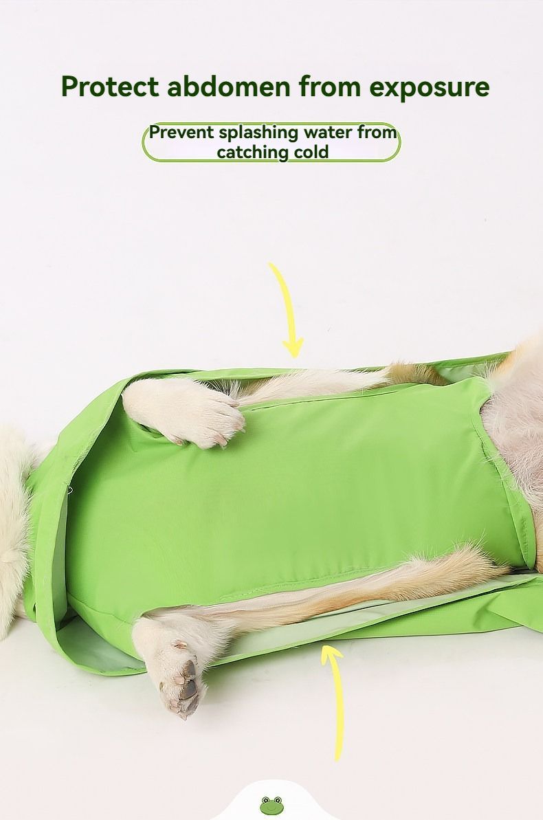 Dog Raincoat Shiba Inu Raincoat Corgi Raincoat Frog-Themed Dog Clothing - Green - Size XL-17-20kg