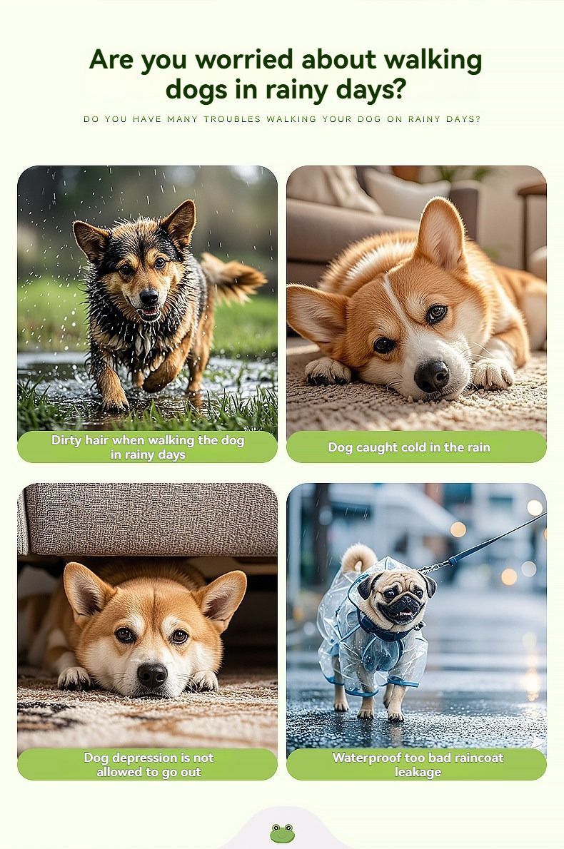 Dog Raincoat Shiba Inu Raincoat Corgi Raincoat Frog-Themed Dog Clothing - Green - Size XL-17-20kg