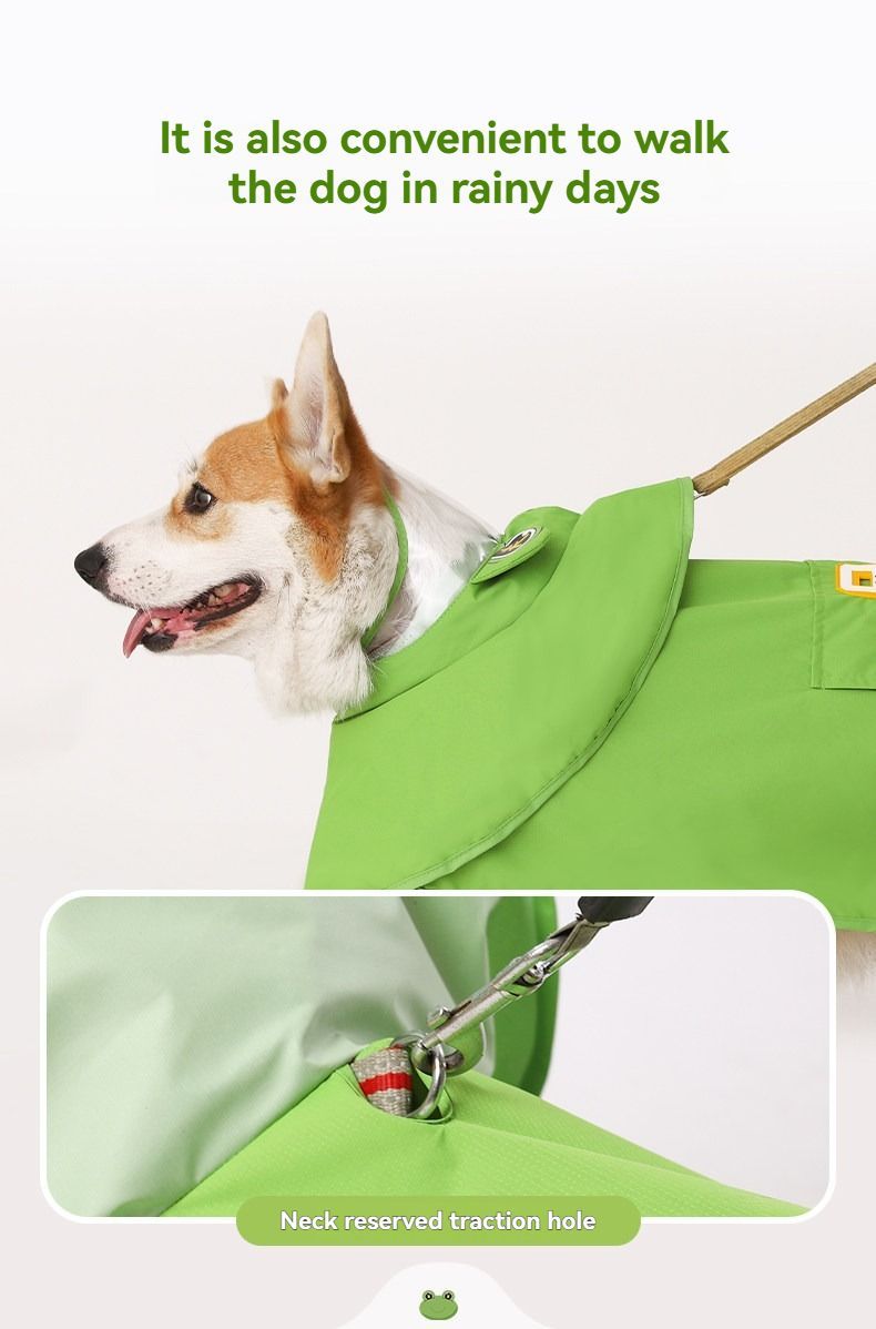 Dog Raincoat Shiba Inu Raincoat Corgi Raincoat Frog-Themed Dog Clothing - Green - Size XS-4-7.5kg