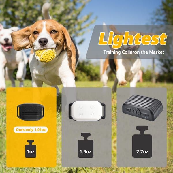 Black Dog Training Remote Control Collar