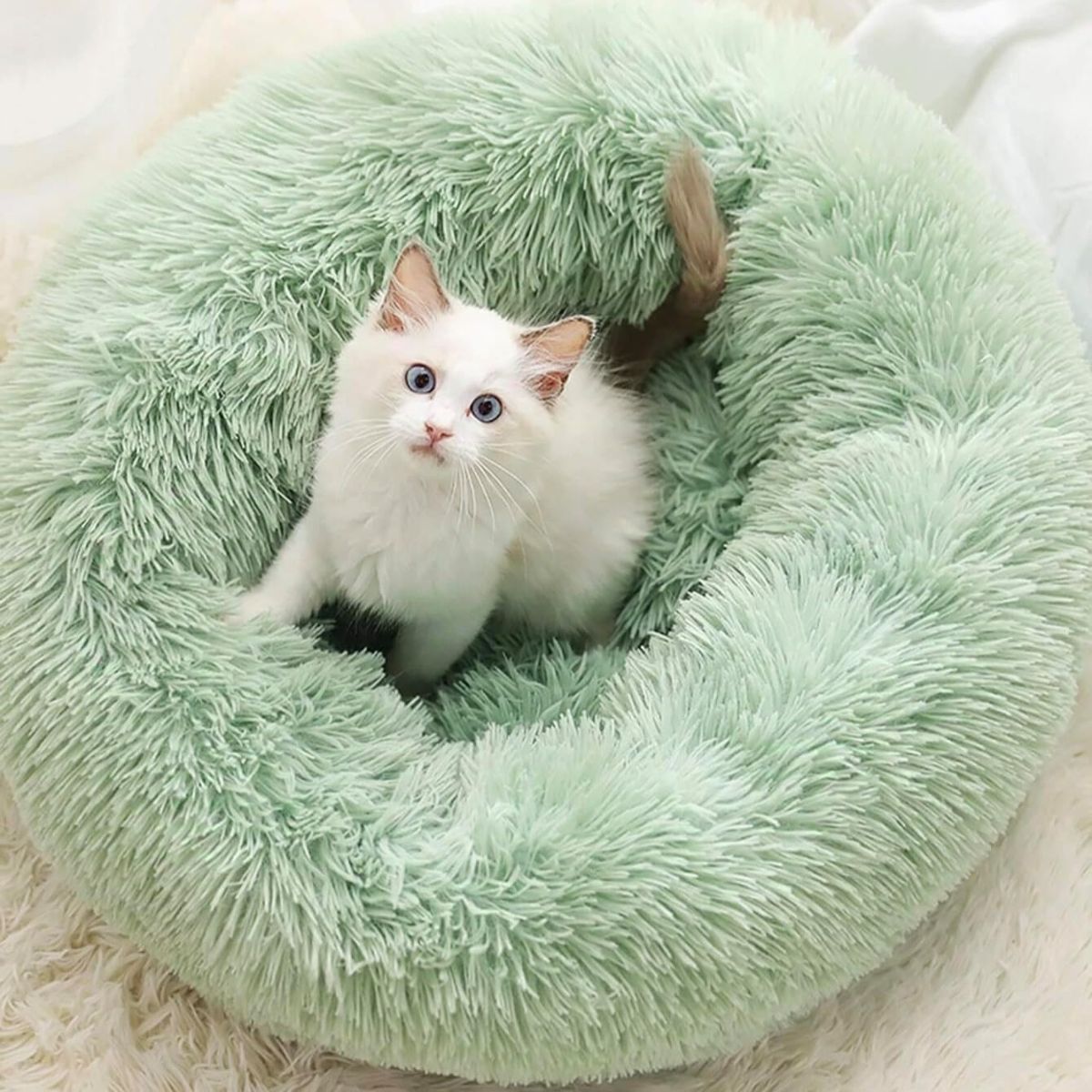 Cat Bed Fluffy Cat Bed Round Cat Bed Cat Furniture Cat Comfort Cat Sleeping Bed - Green / 20in
