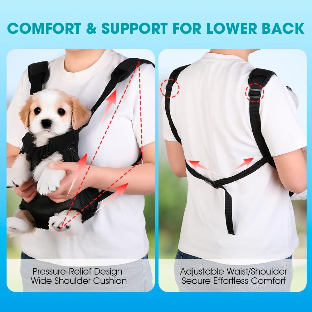 Dog Carrier Backpack Small Dog Carrier Pet Carrier Hands-Free Dog Carrier - Black / M
