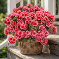 8 Pcs Artificial Red Geranium Silk Flowers for Outdoor Patio Garden & Indoor Home Decor (Pink)