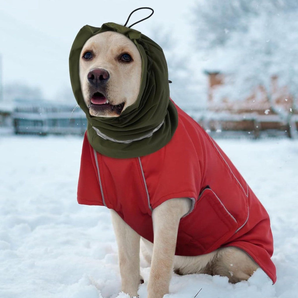 Dog Winter Earmuffs Calming Waterproof Snowproof Army Green, Size S, 30-44 cm