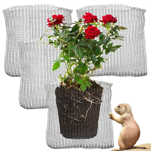 5 Pcs 5 Gallon Root Guard Gopher Proof Wire Basket Mole and Vole Mesh Wire Baskets Underground Stainless Steel Wire for Plants Root Protection