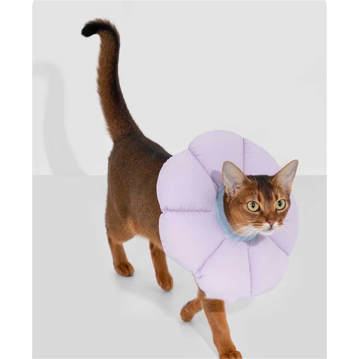 Cat Cone Collar,Cute Waterproof Cat Recovery Collar,Anti-Bite Lick Wound Healing Safety Elizabethan e Collar for Cats,Purple Flower All-Season Style…