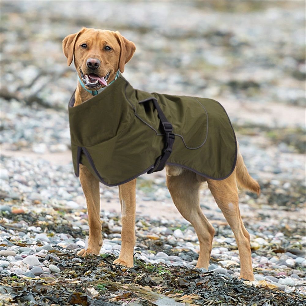 Dog Raincoat - Waterproof Winter Jacket with Velvet Inner, Reflective Strip, Green, XXL
