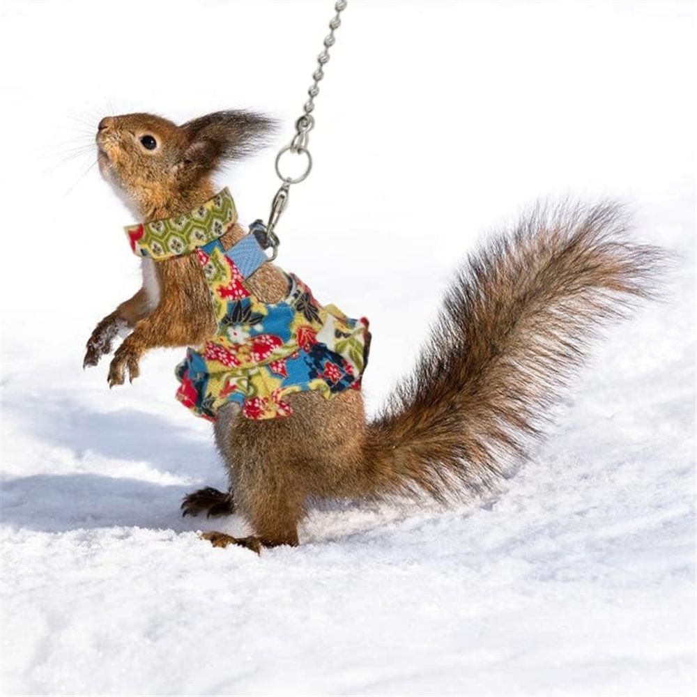 Squirrel Harness and Leash Set, Adjustable Flora Blue Printing, for Ferret, Squirrel, Dwarf Chinchilla, Guinea Pig, Fancy Rat（Flower color）S