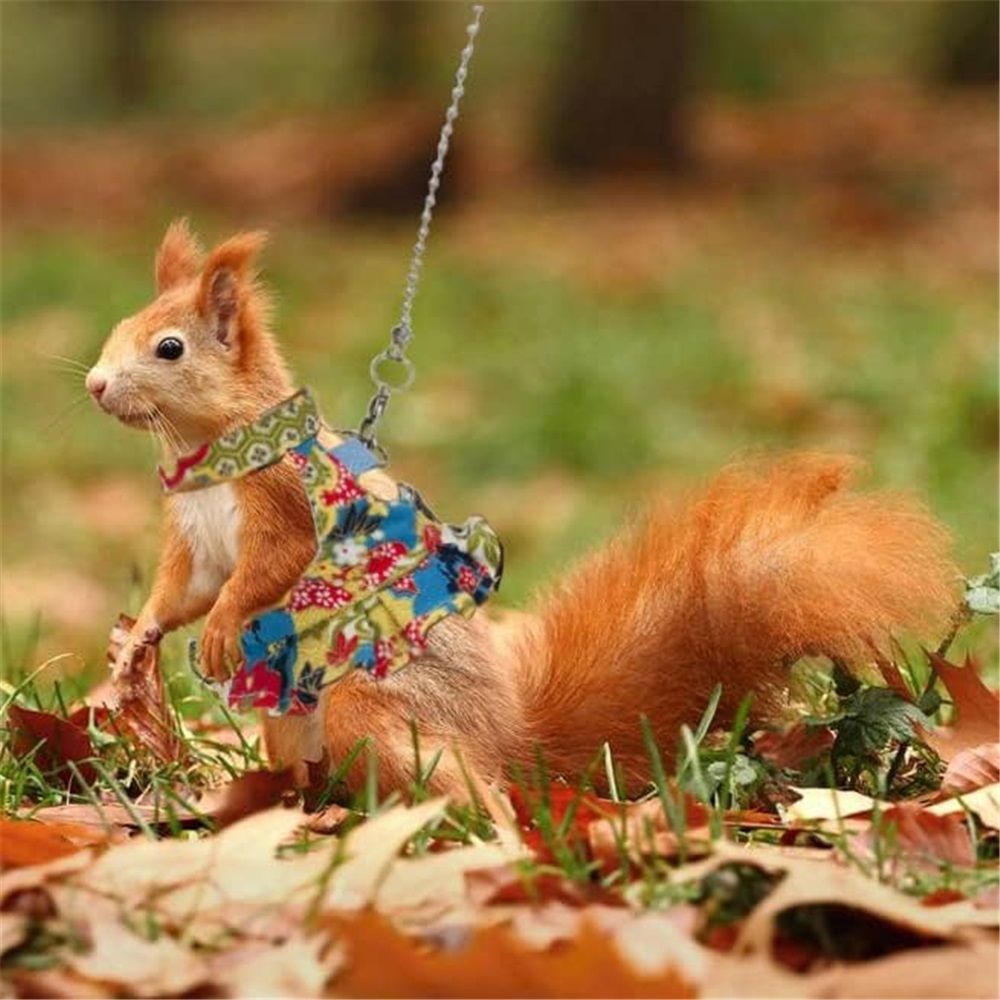 Squirrel Harness and Leash Set, Adjustable Flora Blue Printing, for Ferret, Squirrel, Dwarf Chinchilla, Guinea Pig, Fancy Rat（Flower color）S