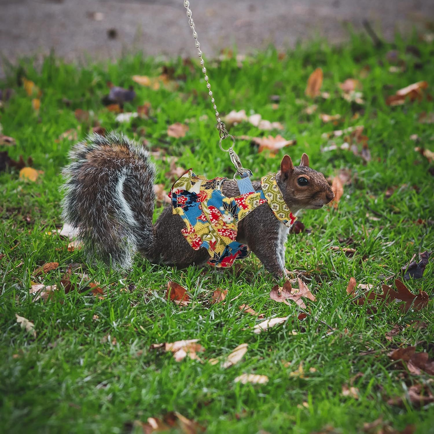 Squirrel Harness and Leash Set, Adjustable Flora Blue Printing, for Ferret, Squirrel, Dwarf Chinchilla, Guinea Pig, Fancy Rat（Flower color）S