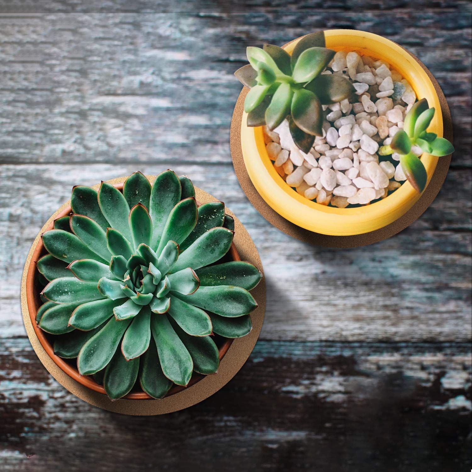 30cm Large Cork Plant Coasters, 2 Pieces Cork Plant Mats, Cork Coaster for Planters, Large Plant Coasters for House Plants Indoor Outdoor (Nude & Black)