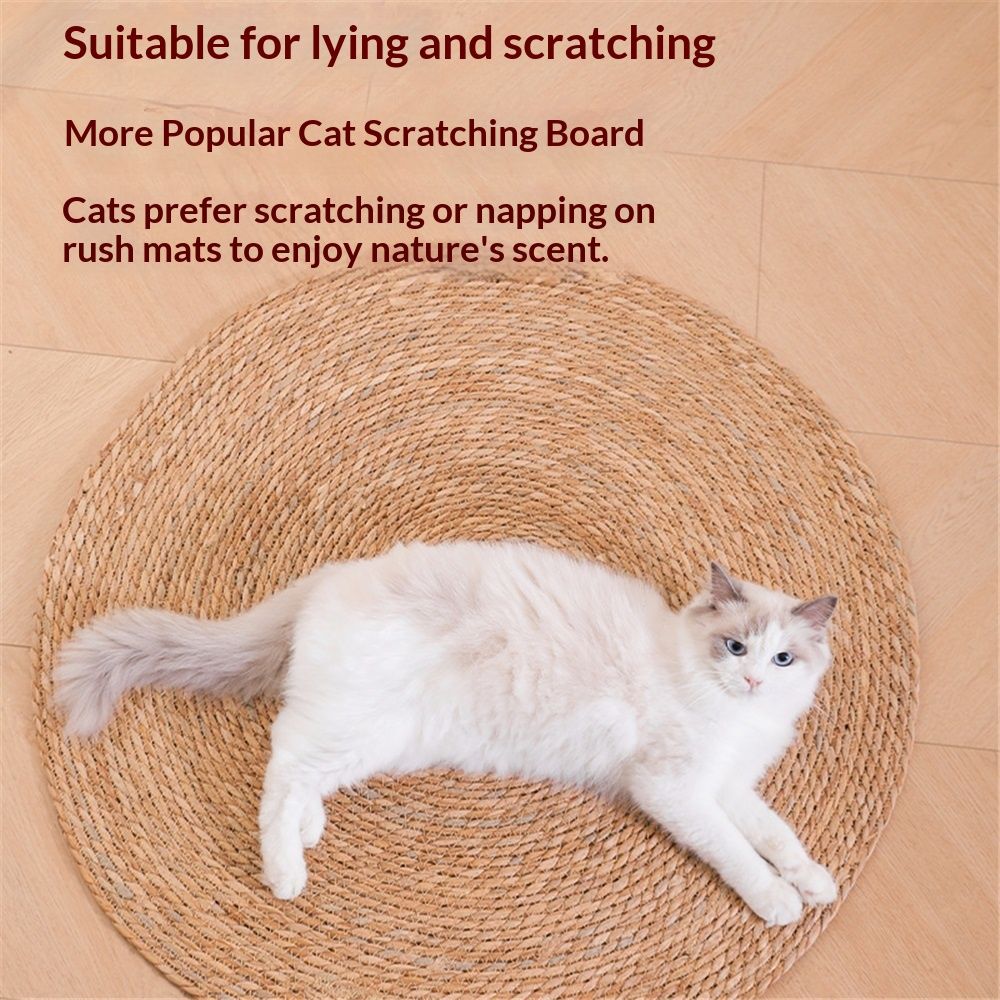 Carpet, living room, circular carpet, bedroom, washable woven carpet, farmhouse kitchen, indoor and outdoor corridors, entrances, garages, terraces（40cm）