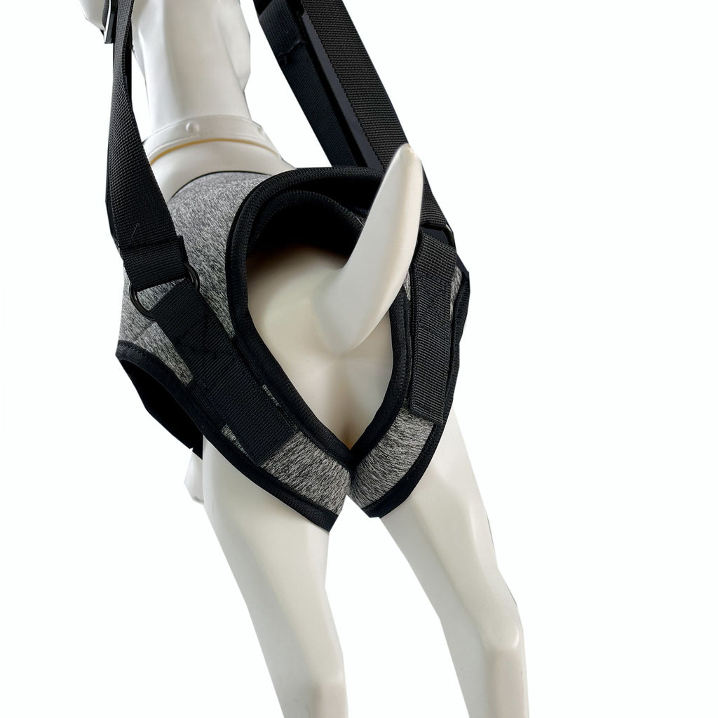 Dog Sling for Large Dogs Hind Leg Support to Help Rehabilitate The Hind Limbs of Elderly Dogs with Weak Hind Legs Disabilities and Injuries （L,Grey）
