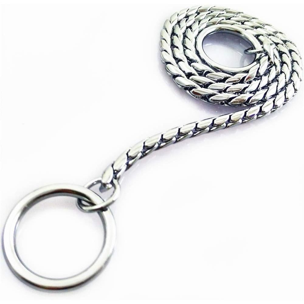 Dog P snake chain titanium steel metal dog training plug/collar is recommended for professional training (silver 4.5 * 45cm)