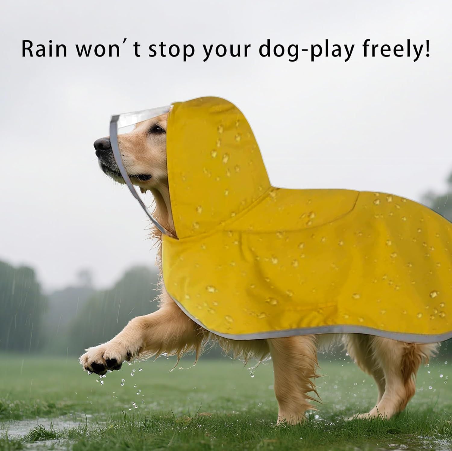 Dog Raincoat, Adjustable Dog Rain Jacket Clear Hooded Double Layer, Waterproof Poncho with Reflective Strip Straps and Storage Pocket for Small Medium Large Puppies(M)