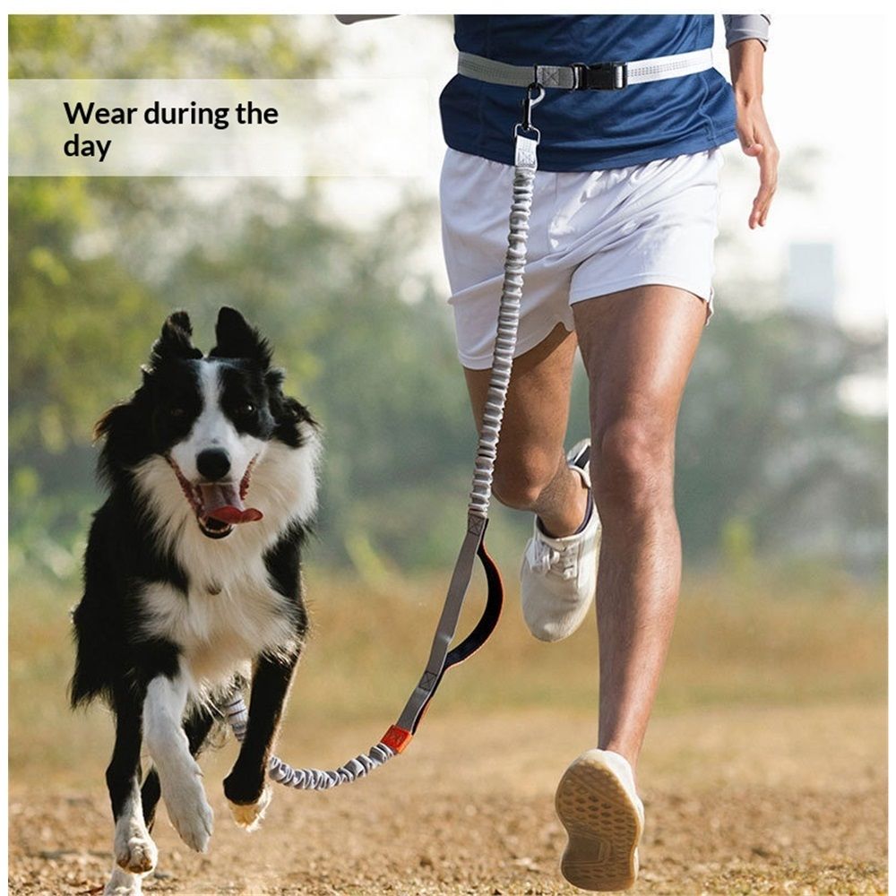 Tuff Mutt Hands Free Dog Leash for Walking Running Hiking, Waist Leash with Bungee, Adjustable Belt, Reflective Double Handle Design for Large Medium Dogs Red (with foam)