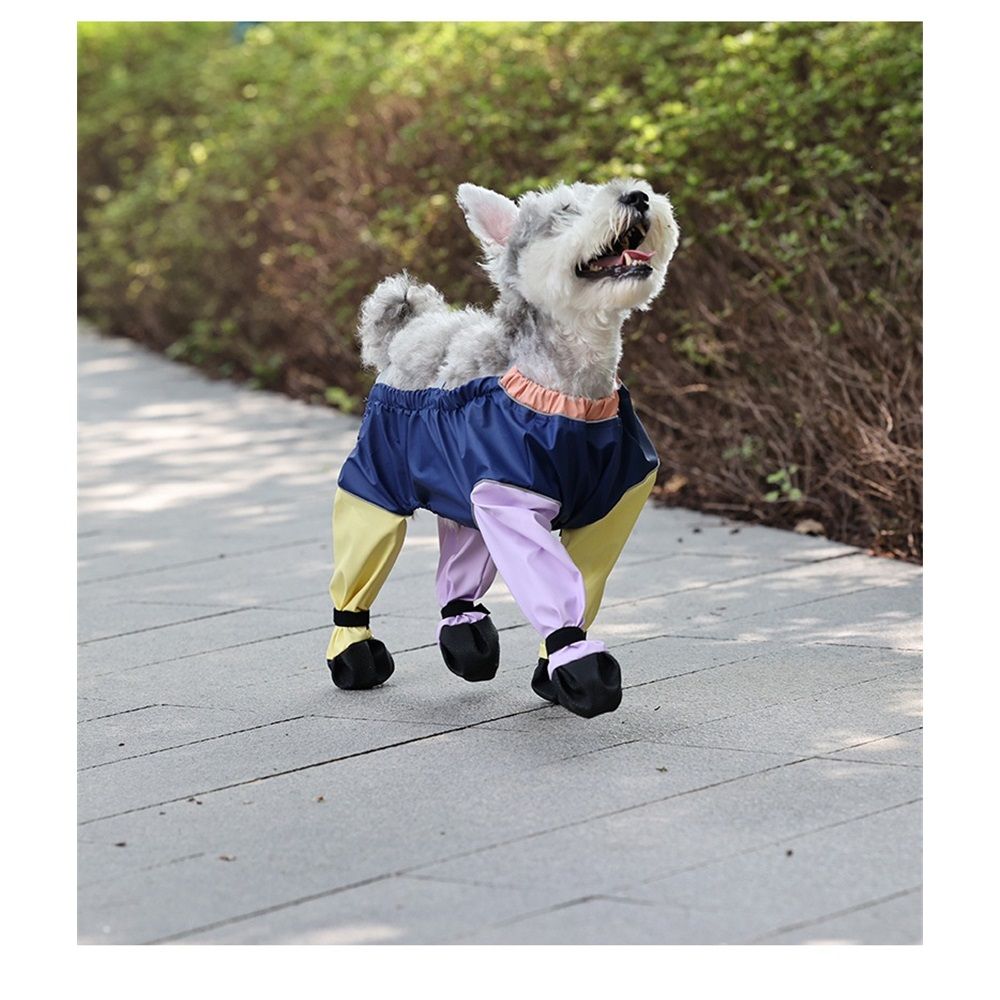 Waterproof Dog Boots with Suspenders, All-in Anti-Slip Paw Protector with Adjustable Dirty-Proof Pants for Small Medium Large Dogs (Color Mixing, S)