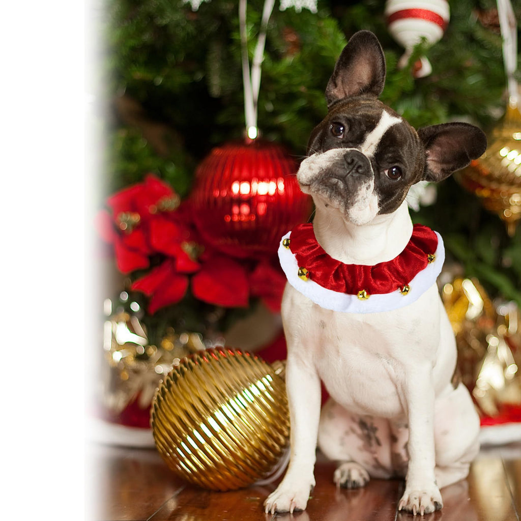 Dog Outfit, Christmas Dog Collar with Bells Ornaments Holiday Neckwear Costume Clothes for Small Medium Large Dogs Pets (Red, L)
