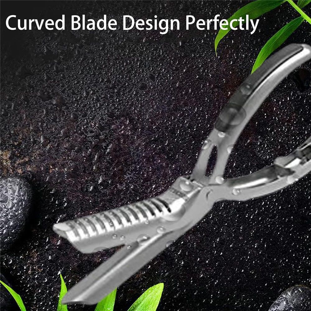 Stainless Steel Rib Skinner & Rib Membrane Remover for BBQ Enthusiasts and Chefs! With Arc Clamp & Non-Slip Grip, Effortlessly Remove Rib Membranes for Perfect Rib Prep（1PC）