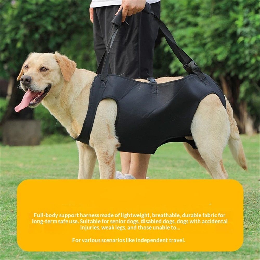 Full Body Lift Harness for Dogs,Canine Support Rehabilitation Dog Carrier Slings with Handles,Adjustable Lifting Straps Full Body Dog Lifting Harness (L)