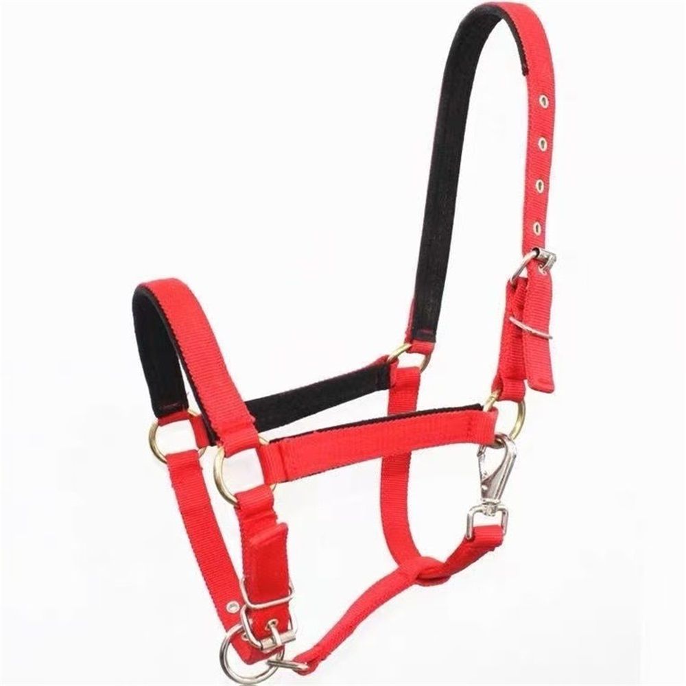 Equine Breakaway Horse Halter, Comfort Foam Padding, Adjustable Chin & Throat Snap Halters for Horses, Red（Medium (1.2-1.3 meters for horses)）