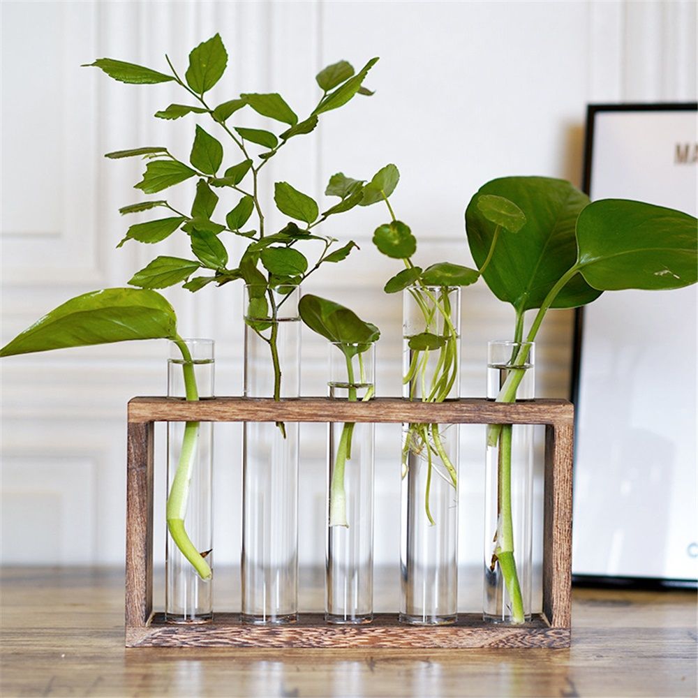 Glass Plant Propagation Station with 5 Test Tubes Planter Vase with Wooden Stand Birthday Gifts for Women Mom Plant Lovers