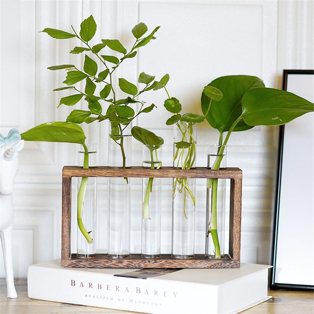 Glass Plant Propagation Station with 5 Test Tubes Planter Vase with Wooden Stand Birthday Gifts for Women Mom Plant Lovers