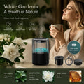Car Diffuser XM-ZS44 + Height Pad, Gardenia White Tea, Xmas & Dad Present