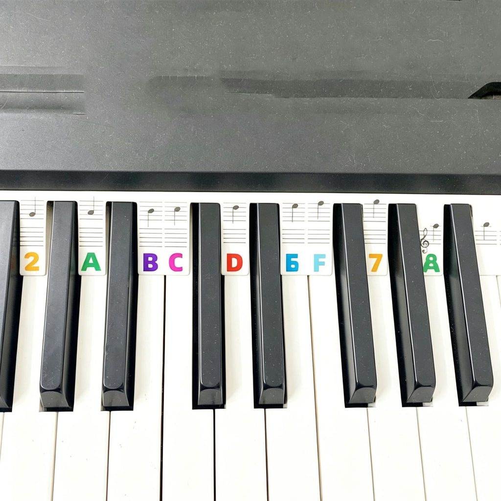 88 Keys Color Piano Note Strip 1pcs Keyboard Sticker