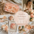 Hibiscus Gradient Preserved Hydrangea Dried Flower DIY Handmade Material 5g Box