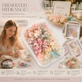 Champagne Gradient Preserved Hydrangea Dried Craft Flower Pack of 3 Boxes 5g