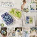 Blue Purple Shade & Pale Green Champagne Preserved Hydrangea Frame Craft Material Set of 2