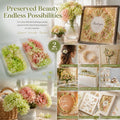 Warm Mixed Shade & Pale Green Champagne Preserved Hydrangea Frame DIY Set of 2 Boxes