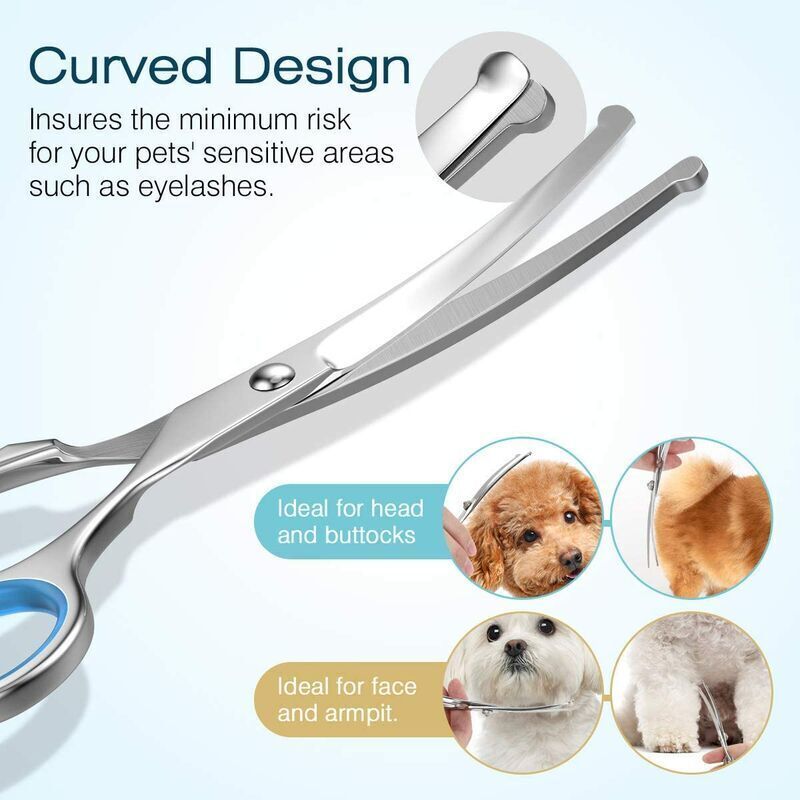 5pc Titanium Coated Stainless Dog Grooming Scissors Set Blue Pet Tool Kit