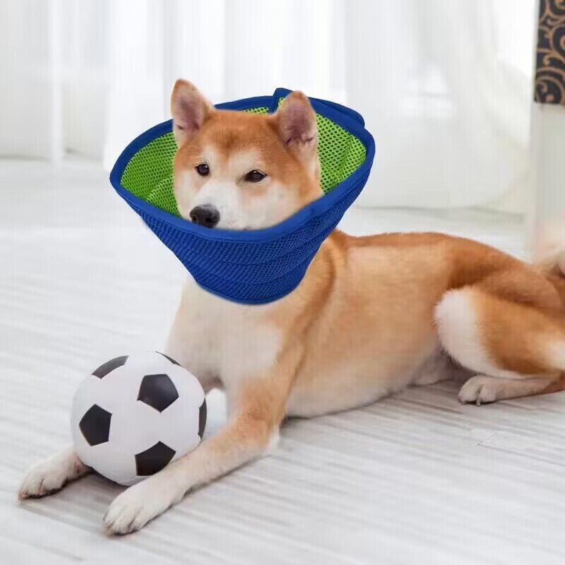 Soft Clear Recovery Cone Collar for Dogs Anti-Lick Anti-Scratch Blue