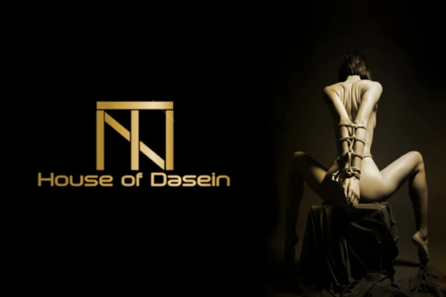 House Of Dasein Real Leather Bondage Kit Cuffs Restraints Collar Flogger Bdsm