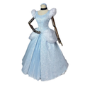 House Of Dasein Cinderella Dress High Quality Cosplay Princess Costume Adult - L
