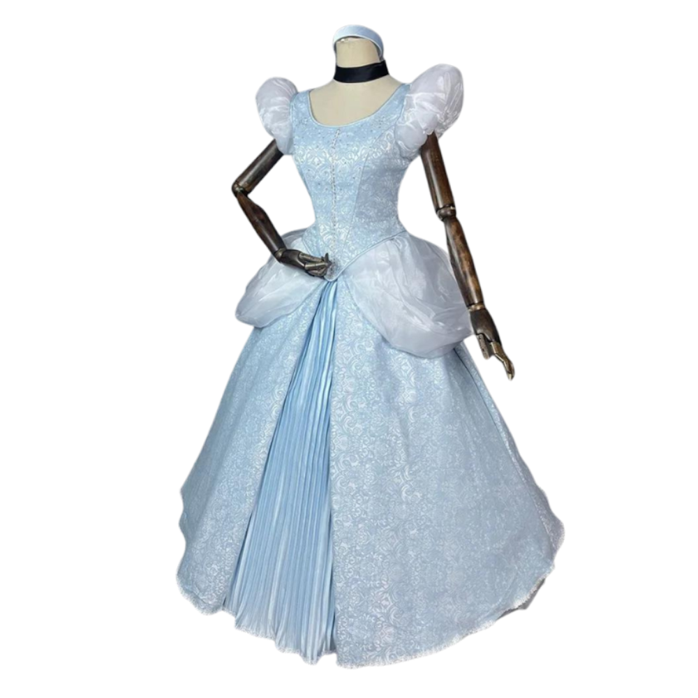 House Of Dasein Cinderella Dress High Quality Cosplay Princess Costume Adult - S