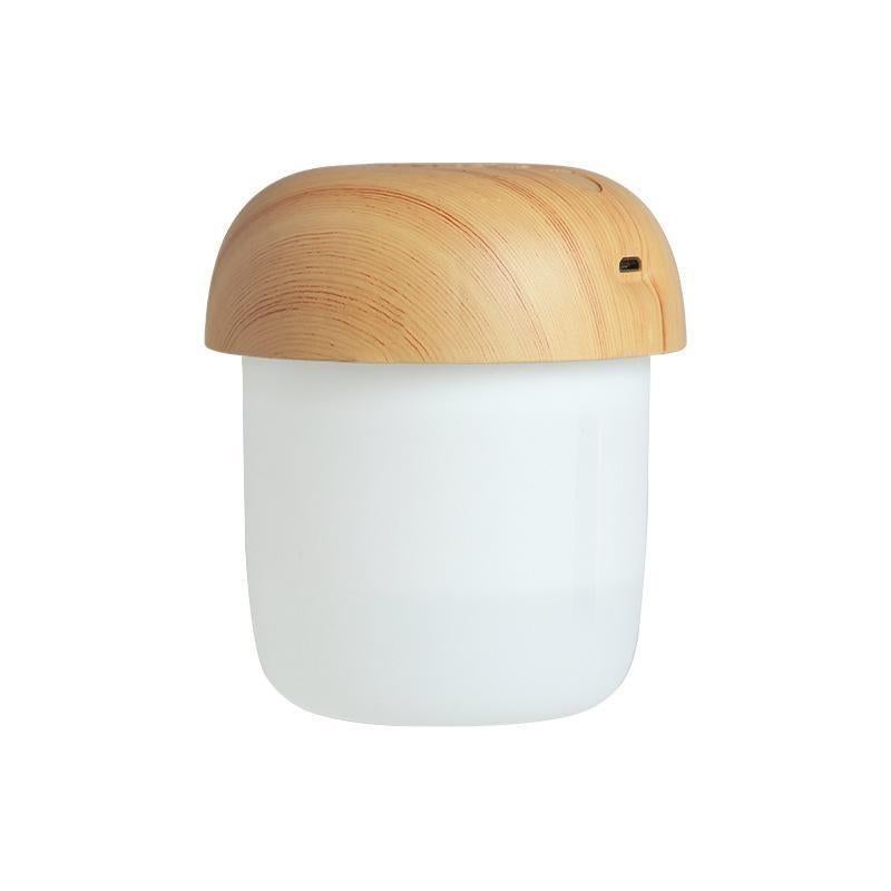 250ml Mushroom Humidifier with Night Light, Mini Mist Humidifier