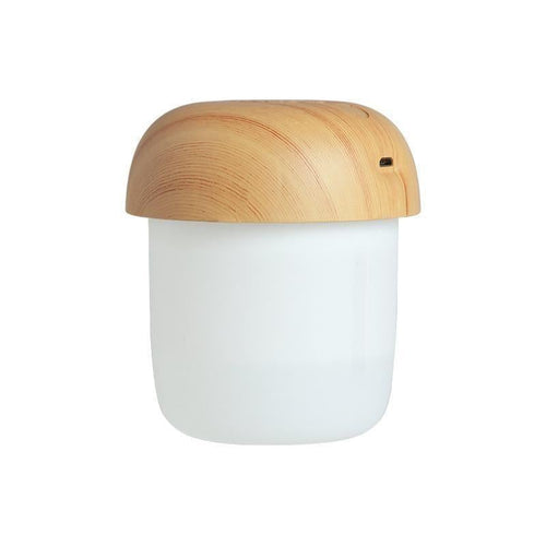 250ml Mushroom Humidifier with Night Light, Mini Mist Humidifier