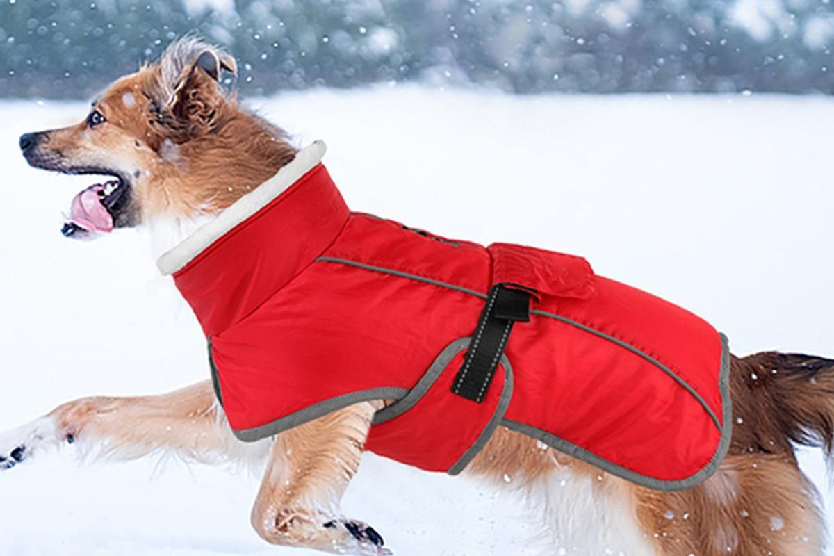 Dogcheer Dog Coat Reflective Dog Snow Jacket for Small Medium Large Dogs -Red L