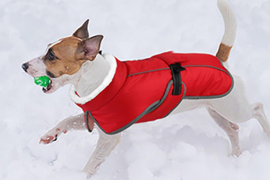 Dogcheer Dog Coat Reflective Dog Snow Jacket for Small Medium Large Dogs -Red L