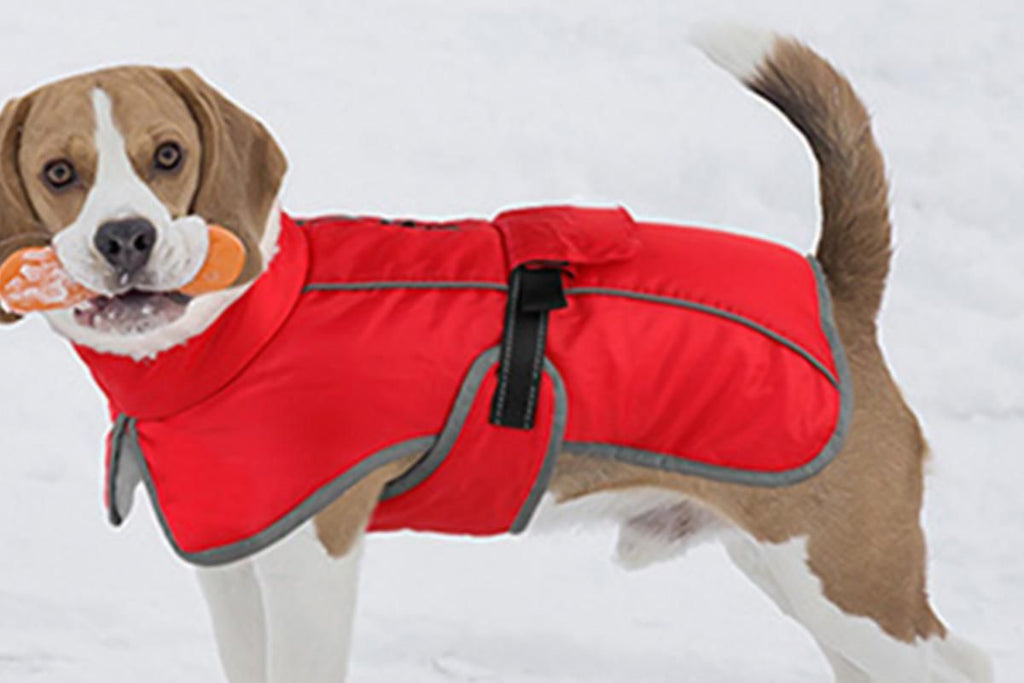Dogcheer Dog Coat Reflective Dog Snow Jacket for Small Medium Large Dogs -Red XL