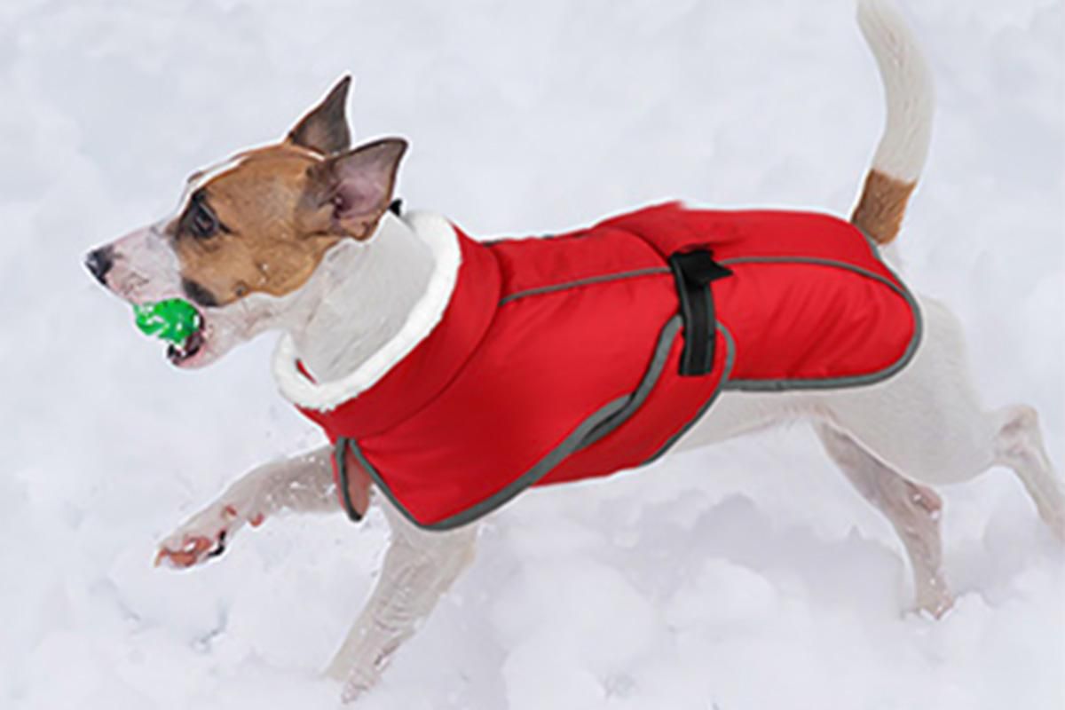 Dogcheer Dog Coat Reflective Dog Snow Jacket for Small Medium Large Dogs -Red XL