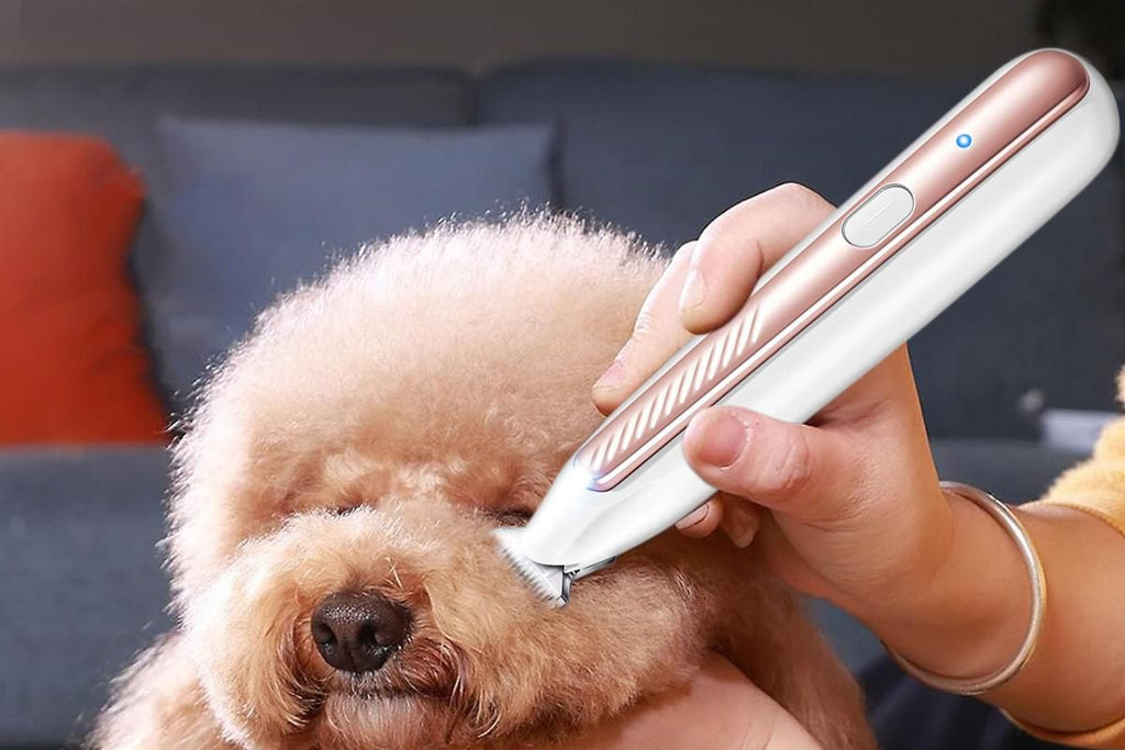 Dog Paw Trimmer with LED Light Low Noise Dog Grooming Clippers for Paws Eyes Ear