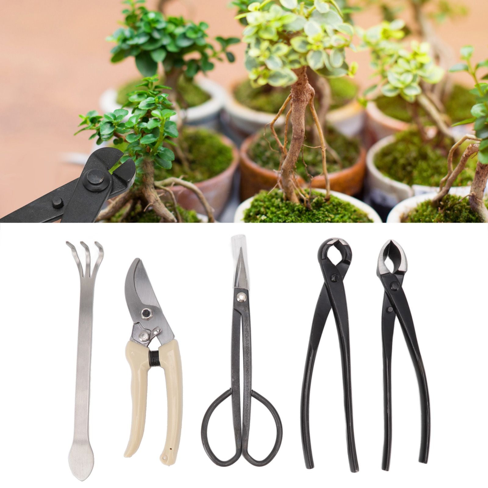 5Pcs Bonsai Tool Set Kit Carbon Steel Bonsai Scissors Rake Branch Cutter Pruning Shears Pliers Garden Tools