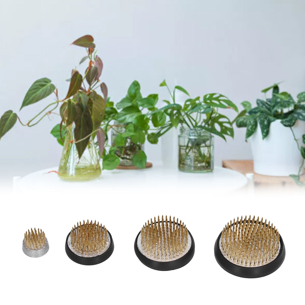 4Pcs Round Flower Arrangers 37/91/127/169 Needles Flower Holder Tool for Floral Arrangement