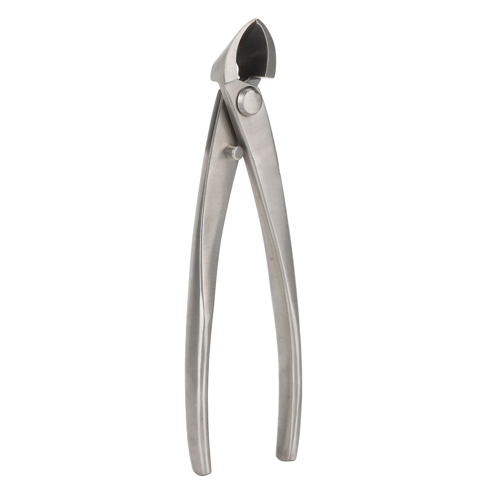Bonsai Scissors 165mm Stainless Steel Scissors with Ergonomic Handle for Bonsai Modeling Flower Flower Arrangement